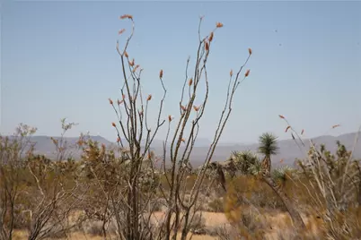 122-10-005 Tortoise Road, Yucca, AZ 86438 - Photo 34