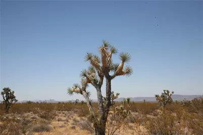 122-10-005 Tortoise Road, Yucca, AZ 86438 - Photo 44