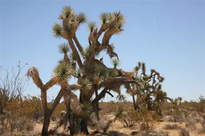 122-10-005 Tortoise Road, Yucca, AZ 86438 - Photo 16