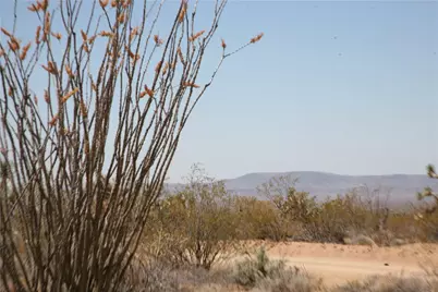 122-10-005 Tortoise Road, Yucca, AZ 86438 - Photo 10