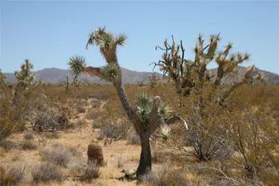122-10-005 Tortoise Road, Yucca, AZ 86438 - Photo 40