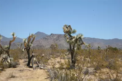 122-10-005 Tortoise Road, Yucca, AZ 86438 - Photo 20