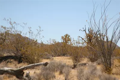 122-10-005 Tortoise Road, Yucca, AZ 86438 - Photo 6