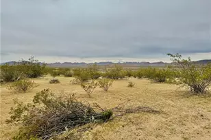 10757 N Sacramento Ln, Dolan Springs, AZ 86441 - Photo 4