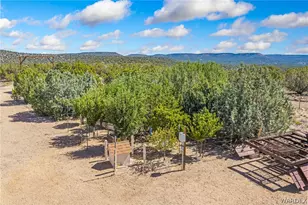 3595 N Spotted Fawn Trail, Kingman, AZ 86401 - Photo 36