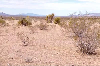 340-23-102 W Fietz Avenue, Dolan Springs, AZ 86441 - Photo 22