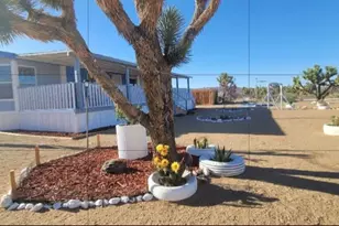 18773 N Queen Dr, Dolan Springs, AZ 86441 - Photo 44