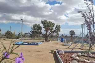 18773 N Queen Dr, Dolan Springs, AZ 86441 - Photo 4