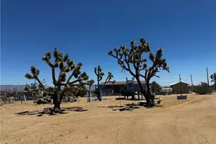 18773 N Queen Dr, Dolan Springs, AZ 86441 - Photo 64