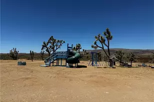 18773 N Queen Dr, Dolan Springs, AZ 86441 - Photo 36