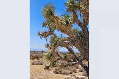 3255 S Arapaho Drive, Yucca, AZ 86438 - Photo 16