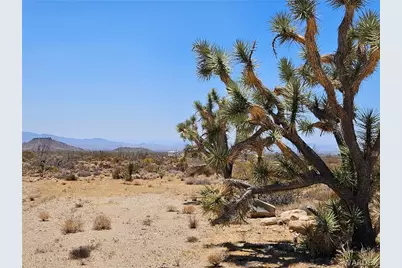 3255 S Arapaho Drive, Yucca, AZ 86438 - Photo 12