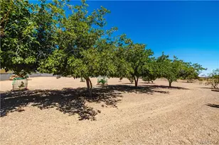 3684 N Horse Mesa Rd, Golden Valley, AZ 86413 - Photo 40