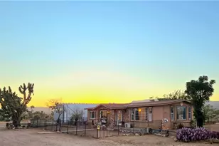 18177 N Peach Dr, Dolan Springs, AZ 86441 - Photo 8