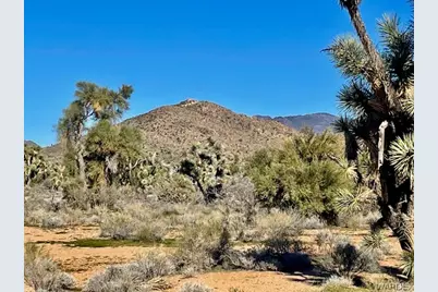 21422 S Appaloosa Road, Yucca, AZ 86438 - Photo 62