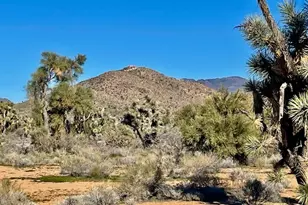21422 S Appaloosa Rd, Yucca, AZ 86438 - Photo 62