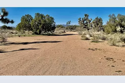 21422 S Appaloosa Road, Yucca, AZ 86438 - Photo 64