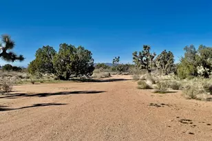 21422 S Appaloosa Rd, Yucca, AZ 86438 - Photo 64