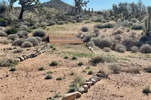21422 S Appaloosa Rd, Yucca, AZ 86438 - Photo 68