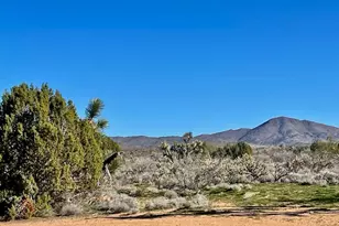 21422 S Appaloosa Rd, Yucca, AZ 86438 - Photo 60