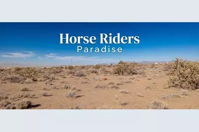 340-15-193 W Water Tank Rd Road, Dolan Springs, AZ 86441 - Photo 4