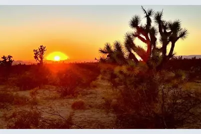 223-30-009 S Sundance Kid Road, Yucca, AZ 86438 - Photo 2