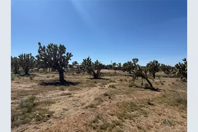 327-02-360 Squaw Drive, Dolan Springs, AZ 86441 - Photo 8