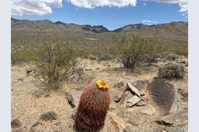 316-05-033 June Road, Dolan Springs, AZ 86441 - Photo 1