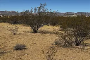 306-15-195 S Horse Mesa Rd, Golden Valley, AZ 86413 - Photo 1