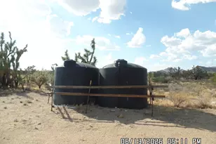 6781 E Cholla, Yucca, AZ 86438 - Photo 10