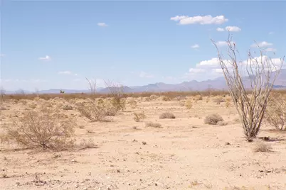 207-23-076 Arroyo Road, Yucca, AZ 86438 - Photo 4