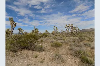 18144 Longhorn Drive, Dolan Springs, AZ 86441 - Photo 4
