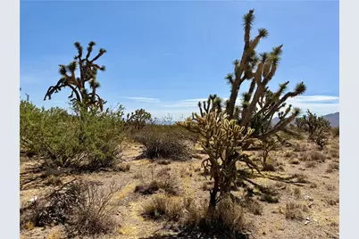 327-05-019 Merry, Dolan Springs, AZ 86441 - Photo 14