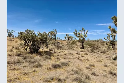 327-05-019 Merry, Dolan Springs, AZ 86441 - Photo 16