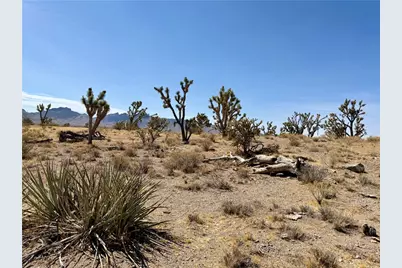 327-05-019 Merry, Dolan Springs, AZ 86441 - Photo 12