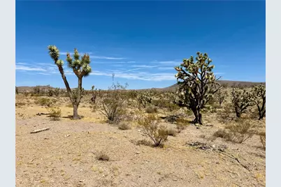 327-05-019 Merry, Dolan Springs, AZ 86441 - Photo 22