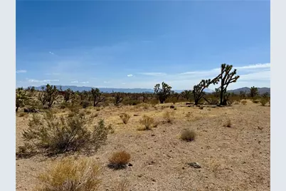 327-05-019 Merry, Dolan Springs, AZ 86441 - Photo 26