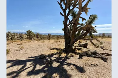 327-05-019 Merry, Dolan Springs, AZ 86441 - Photo 2