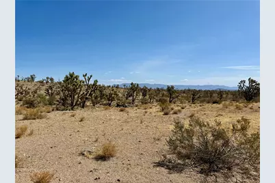 327-05-019 Merry, Dolan Springs, AZ 86441 - Photo 4