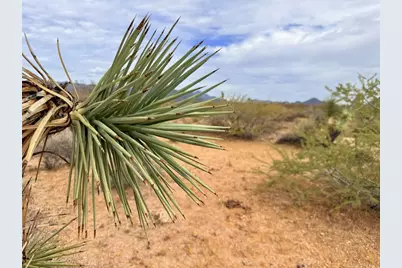 243-10-011 S Alamo Road, Yucca, AZ 86438 - Photo 22