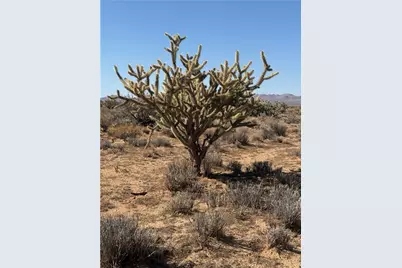 340-16-056 Turquoise, Dolan Springs, AZ 86441 - Photo 8