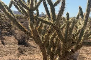 340-16-056 Turquoise, Dolan Springs, AZ 86441 - Photo 1
