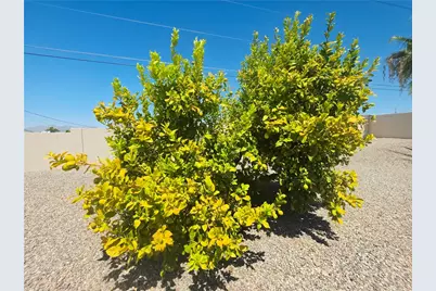 2609 Palo Verde Blvd N, Lake Havasu, AZ 86404 - Photo 52