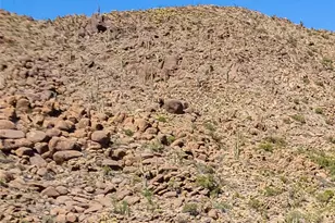 4811 E Sierra Pinta Rd, Yucca, AZ 86438 - Photo 56