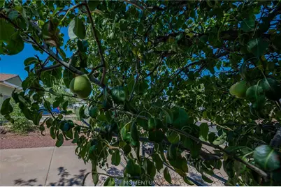 3090 E John L Avenue, Kingman, AZ 86409 - Photo 44