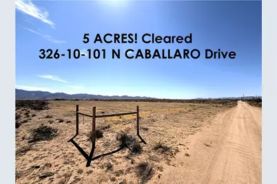 326-10-101 N Caballaro Drive, Dolan Springs, AZ 86441 - Photo 1