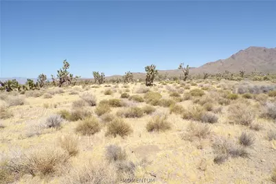 17416 N Orchid Drive, Dolan Springs, AZ 86441 - Photo 8