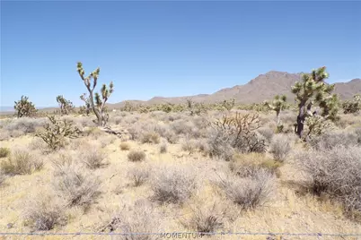 17416 N Orchid Drive, Dolan Springs, AZ 86441 - Photo 6