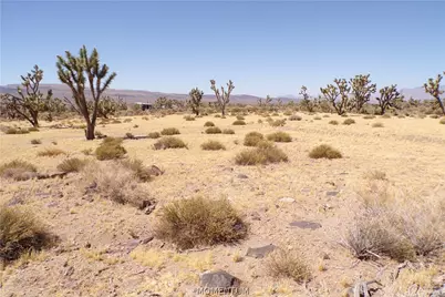 17416 N Orchid Drive, Dolan Springs, AZ 86441 - Photo 18