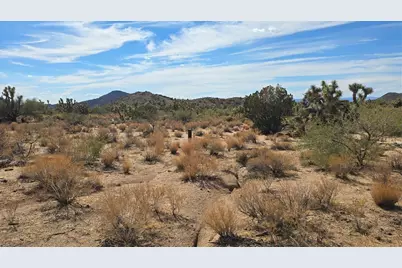 241-06-015 E Prickly Pear Drive, Yucca, AZ 86438 - Photo 10